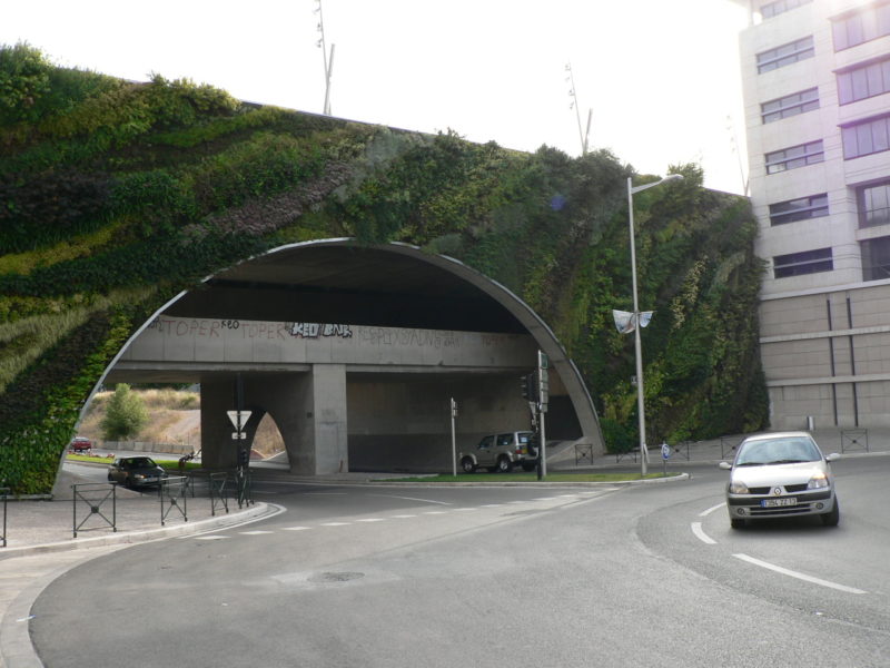 Muro vegetal
