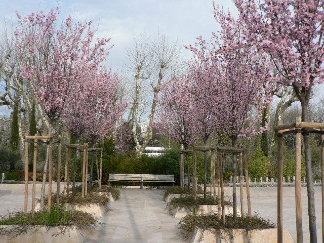 Primavera Provence