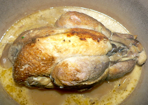 Galinha d'angola