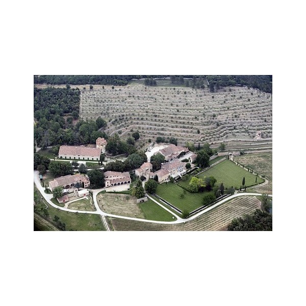 rose jolie pitt provence chateau miraval