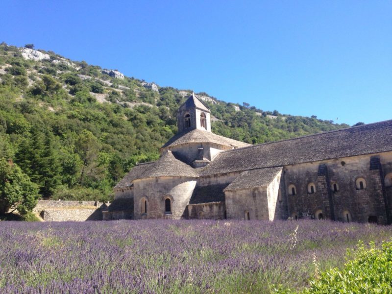 Sénanque Provence lavanda