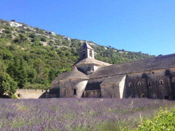 Sénanque Provence lavanda